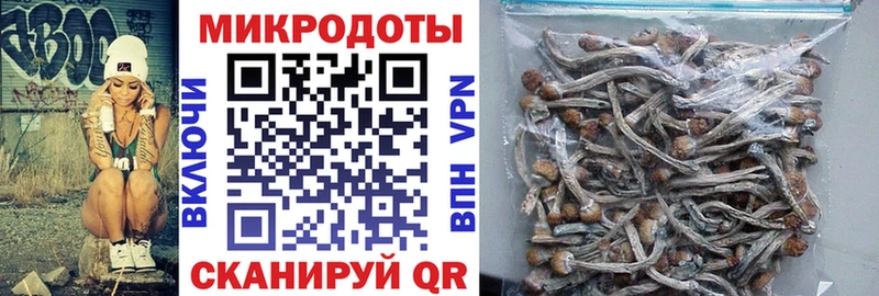 Псилоцибиновые грибы Magic Shrooms  купить закладку  Волосово 